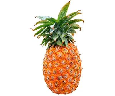 Photo du produit